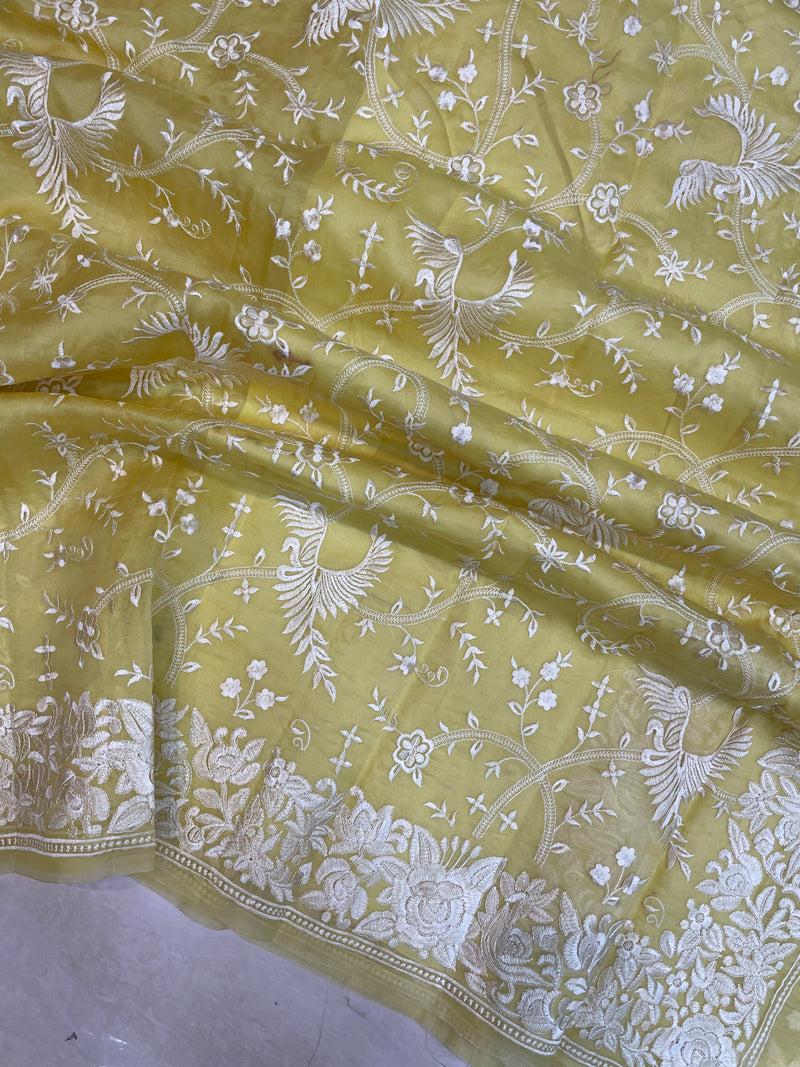Pure Organza Chikankari Handloom Banarasi Saree - The Handlooms
