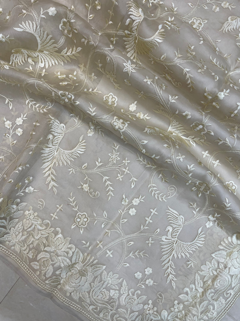 Pure Organza Chikankari Handloom Banarasi Saree - The Handlooms