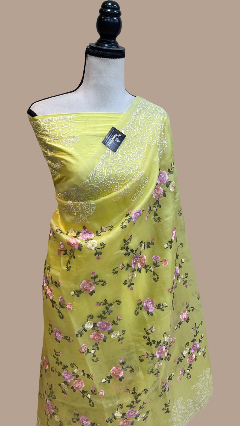 Pure Organza Chikankari Handloom Banarasi Saree - The Handlooms