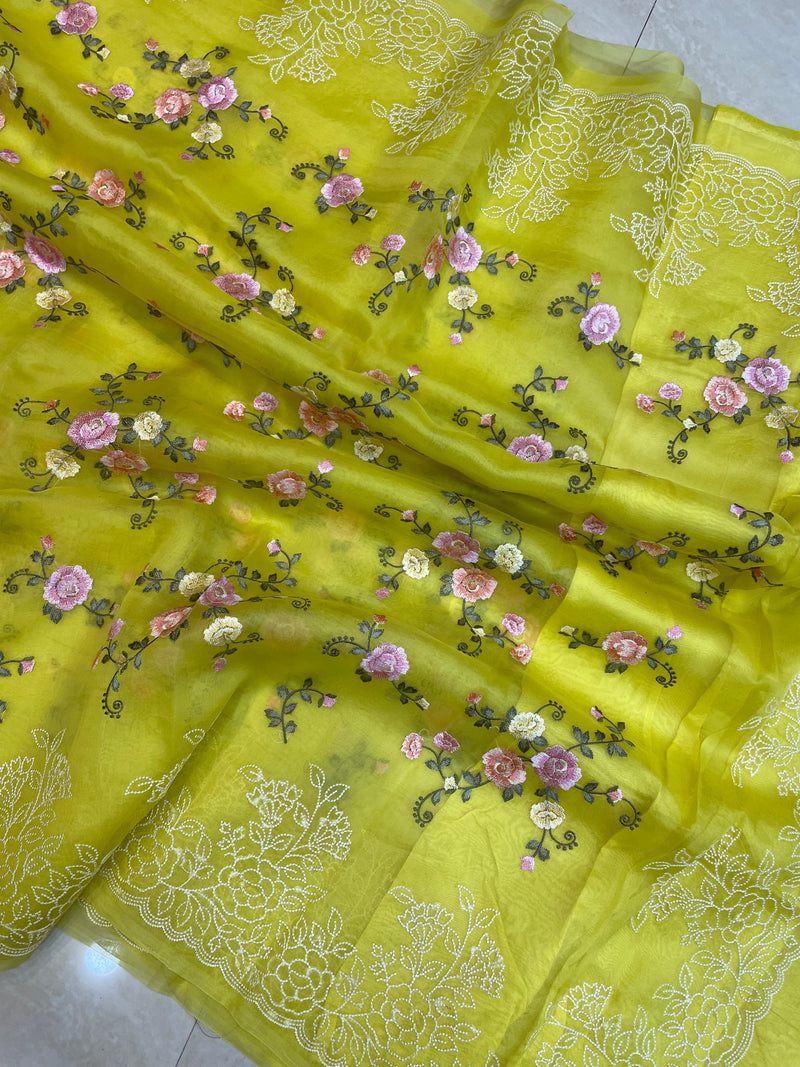 Pure Organza Chikankari Handloom Banarasi Saree - The Handlooms