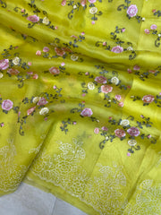 Pure Organza Chikankari Handloom Banarasi Saree - The Handlooms