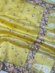 Pure Organza Chikankari Handloom Banarasi Saree - The Handlooms