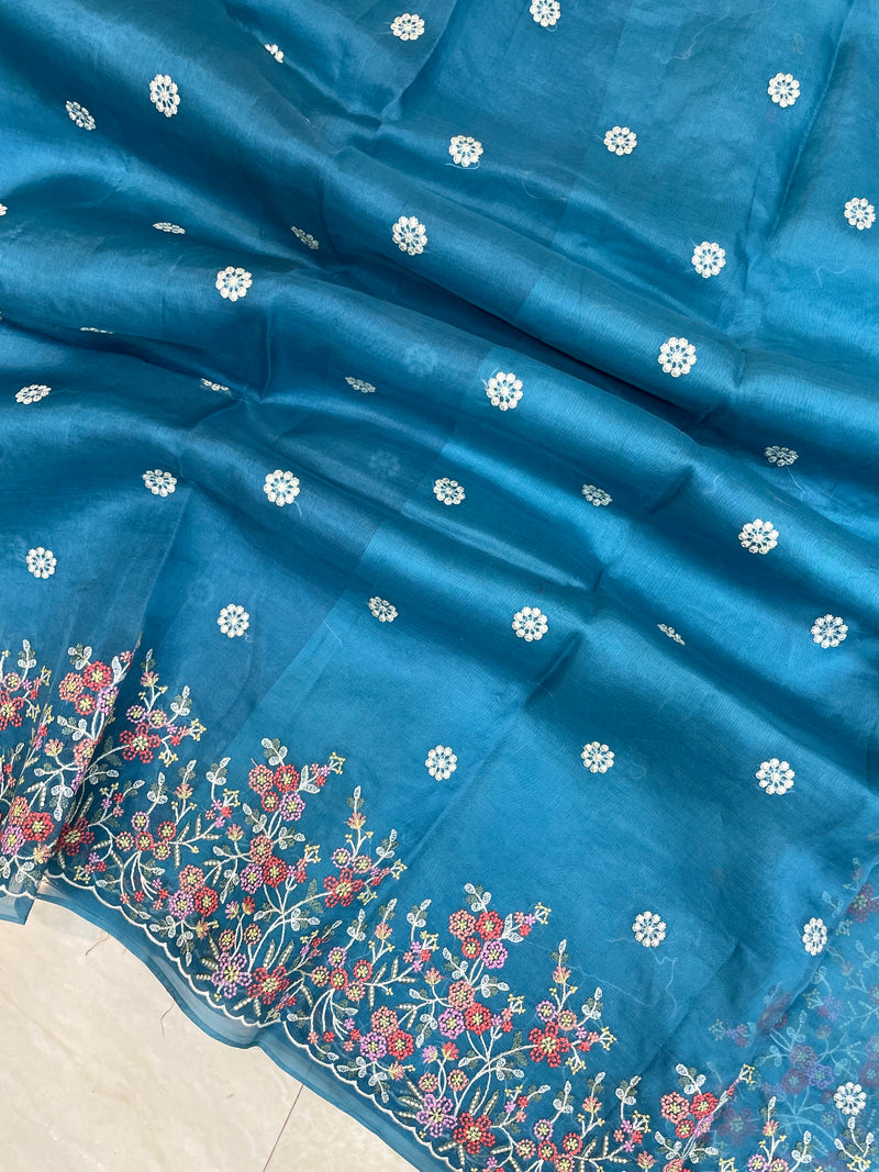 Pure organza Chikankari Handloom Banarasi Saree - The Handlooms