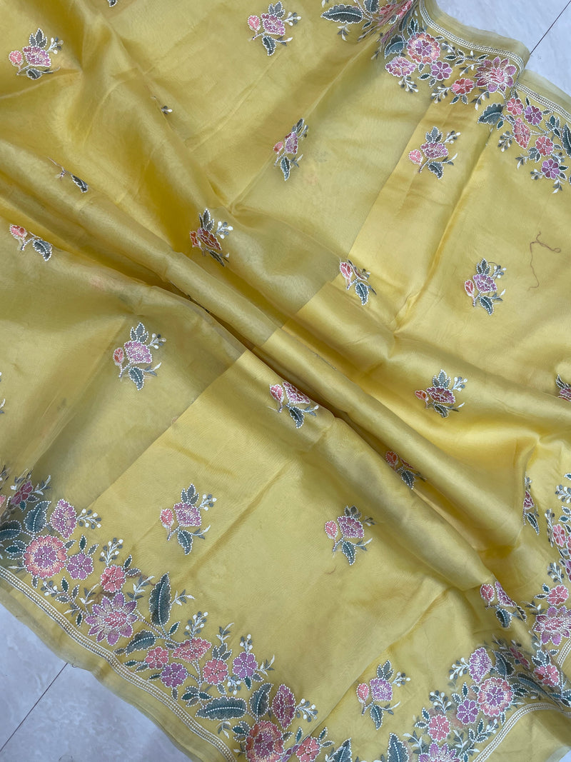 Pure organza Chikankari Handloom Banarasi Saree - The Handlooms