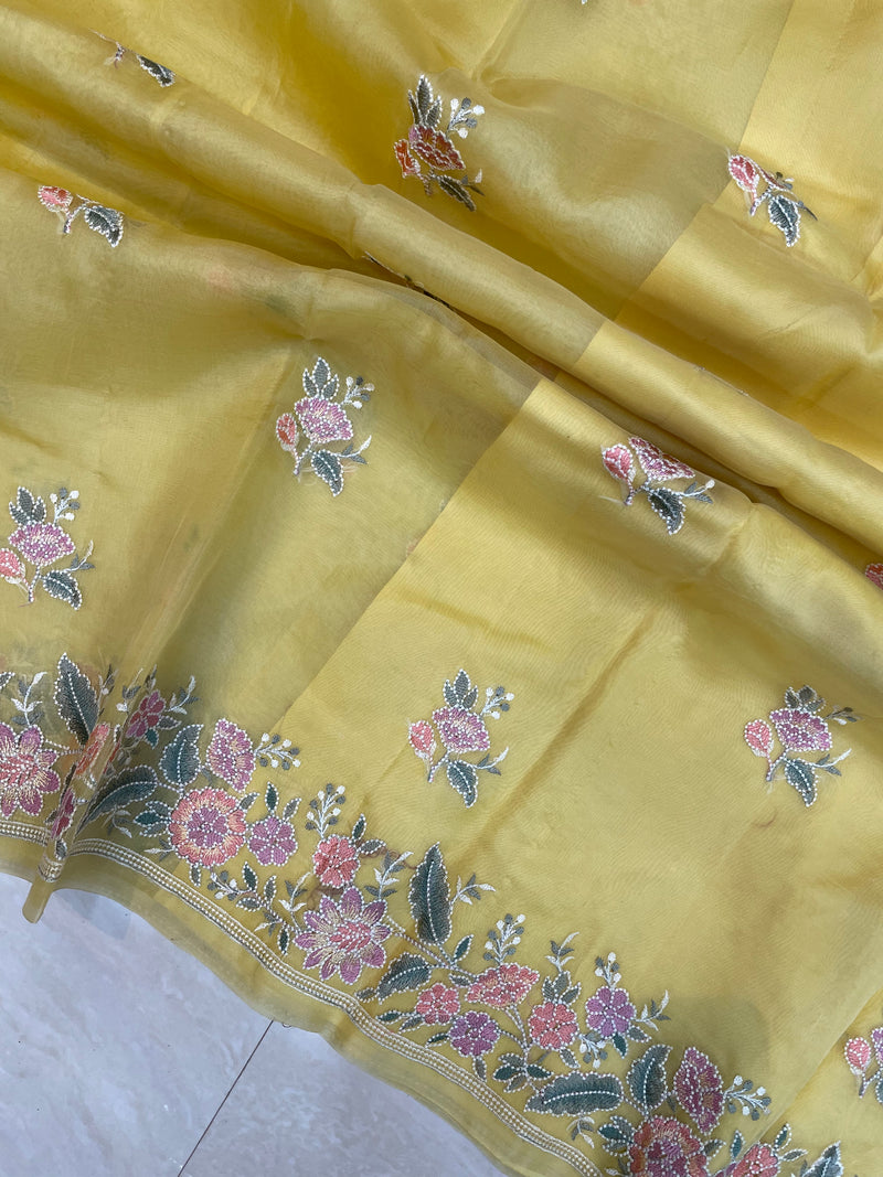 Pure organza Chikankari Handloom Banarasi Saree - The Handlooms
