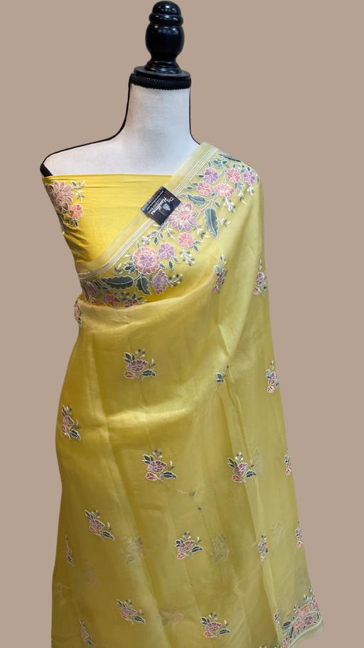 Pure organza Chikankari Handloom Banarasi Saree - The Handlooms
