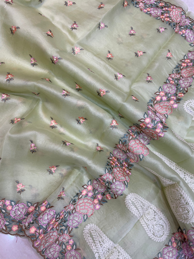 Pure organza Chikankari Handloom Banarasi Saree - The Handlooms