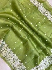 Pure organza Chikankari Handloom Banarasi Saree - The Handlooms
