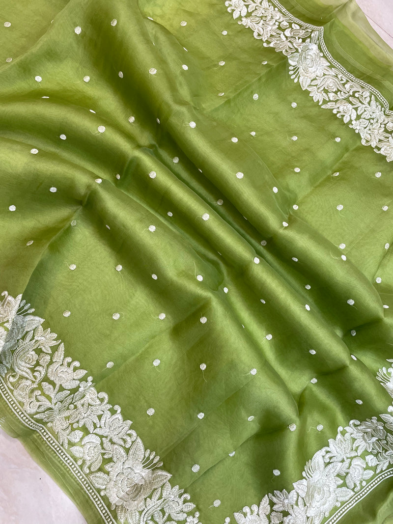 Pure organza Chikankari Handloom Banarasi Saree - The Handlooms