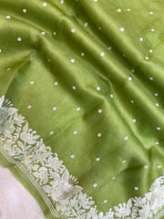 Pure organza Chikankari Handloom Banarasi Saree - The Handlooms