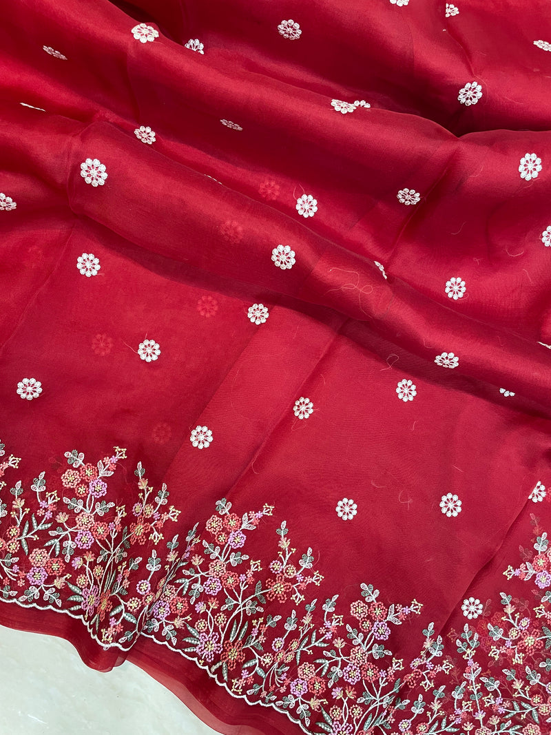 Red Pure organza Chikankari Handloom Banarasi Saree - The Handlooms