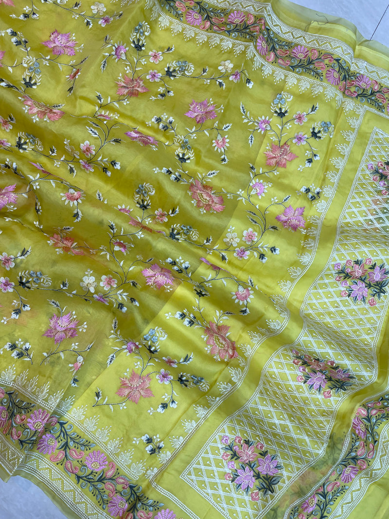 Pure Organza Chikankari Handloom Banarasi Saree - The Handlooms