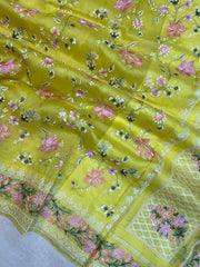 Pure Organza Chikankari Handloom Banarasi Saree - The Handlooms