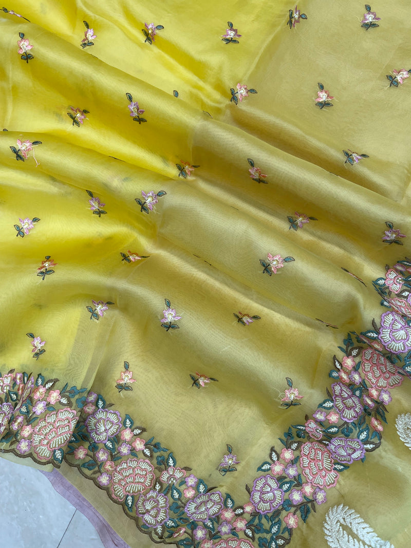 Pure Organza Chikankari Handloom Banarasi Saree - The Handlooms