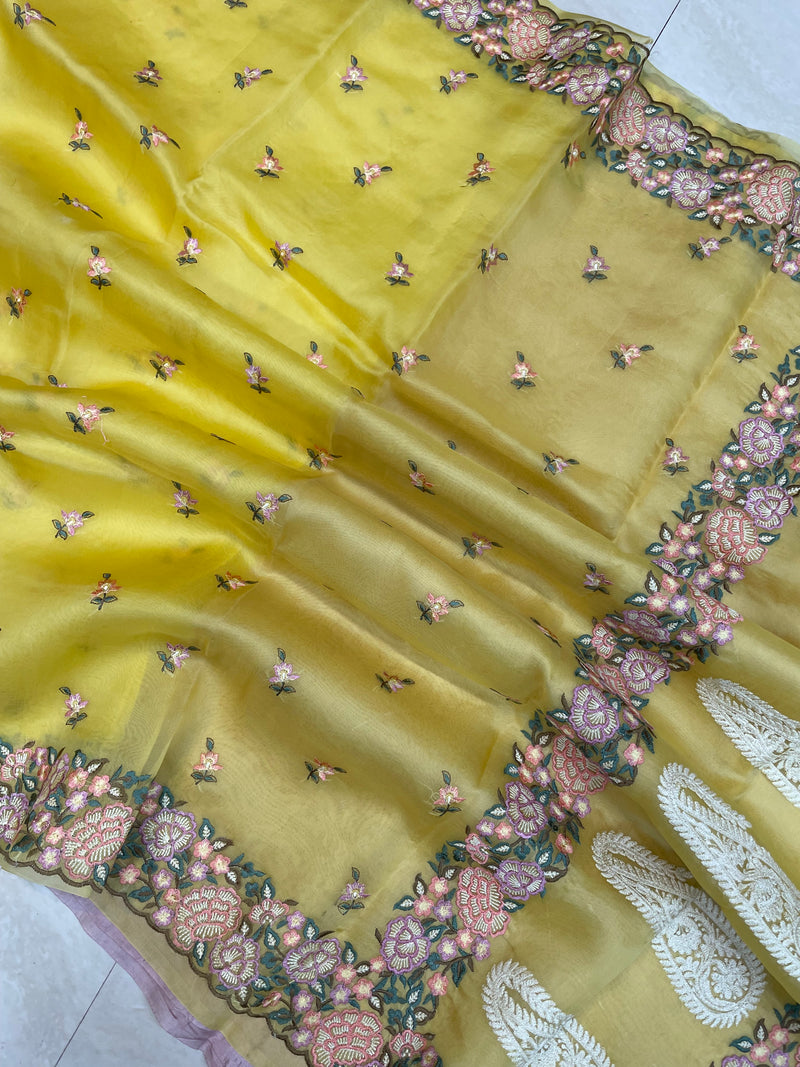 Pure Organza Chikankari Handloom Banarasi Saree - The Handlooms