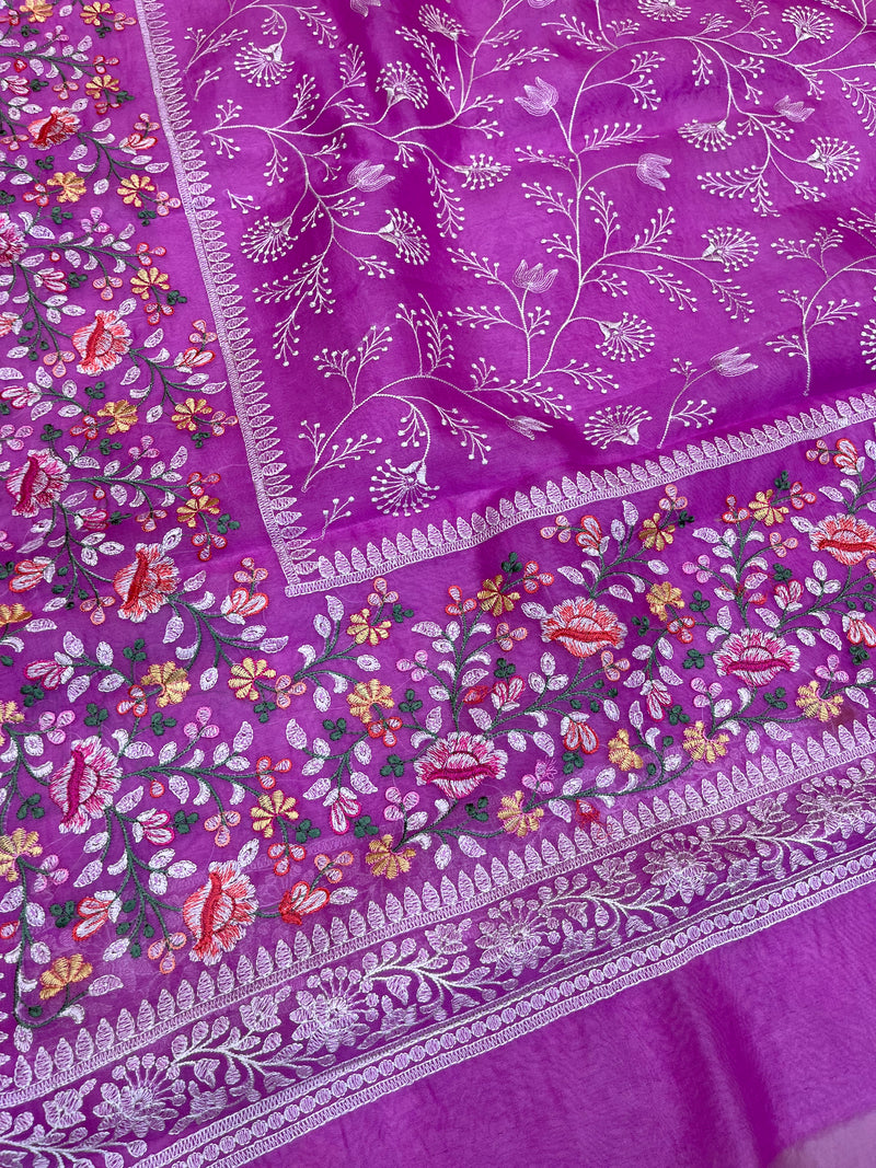 Pure Organza Chikankari Handloom Banarasi Saree - The Handlooms