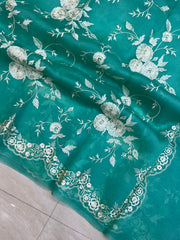 Pure organza Chikankari Handloom Banarasi Saree - The Handlooms
