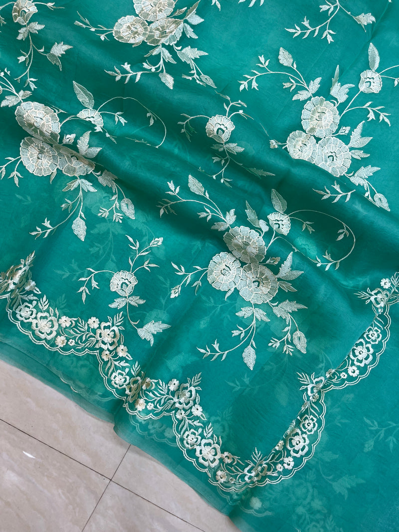 Pure organza Chikankari Handloom Banarasi Saree - The Handlooms