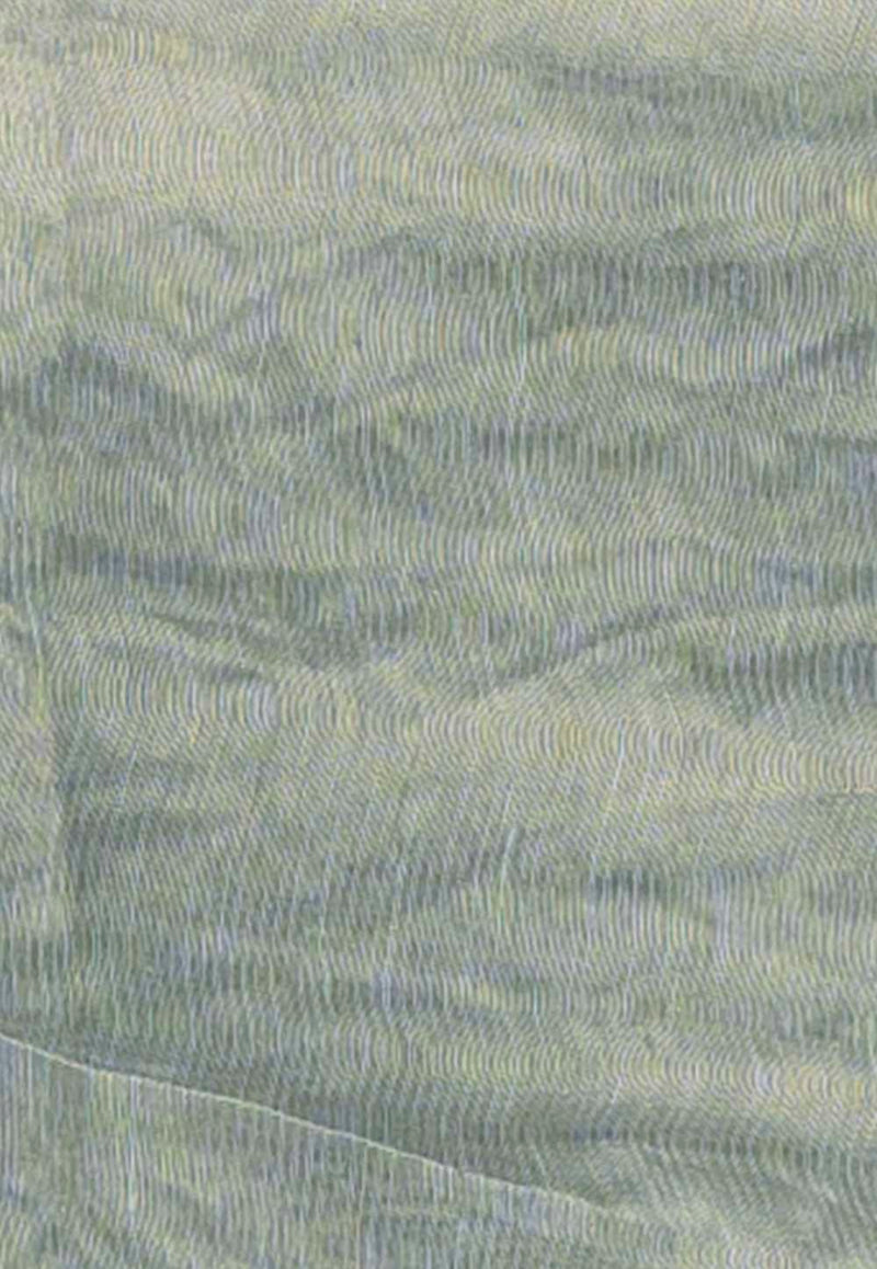 Grey Pure linen Banarasi Saree - The Handlooms