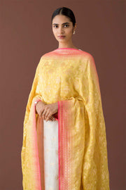 Pure Khaddi Georgette Dupatta - water zari - The Handlooms