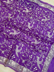 Pure Organza Chikankari Handloom Banarasi Saree - The Handlooms