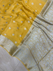 Pure Chiffon Khaddi Banarasi Saree - The Handlooms