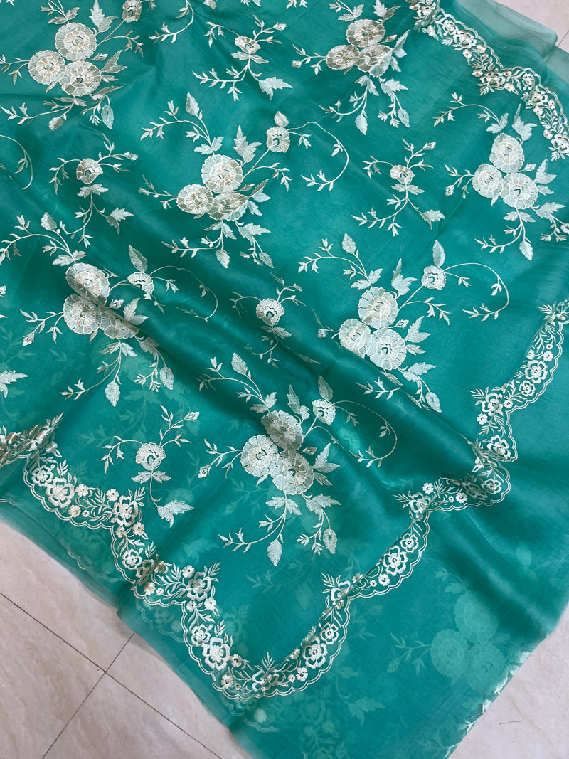 Pure organza Chikankari Handloom Banarasi Saree - The Handlooms