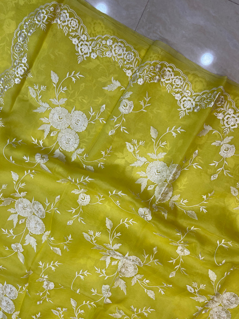 Pure Organza Chikankari Handloom Banarasi Saree - The Handlooms