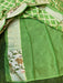Parrot Green Pure Chiffon Khaddi Banarasi Saree - The Handlooms