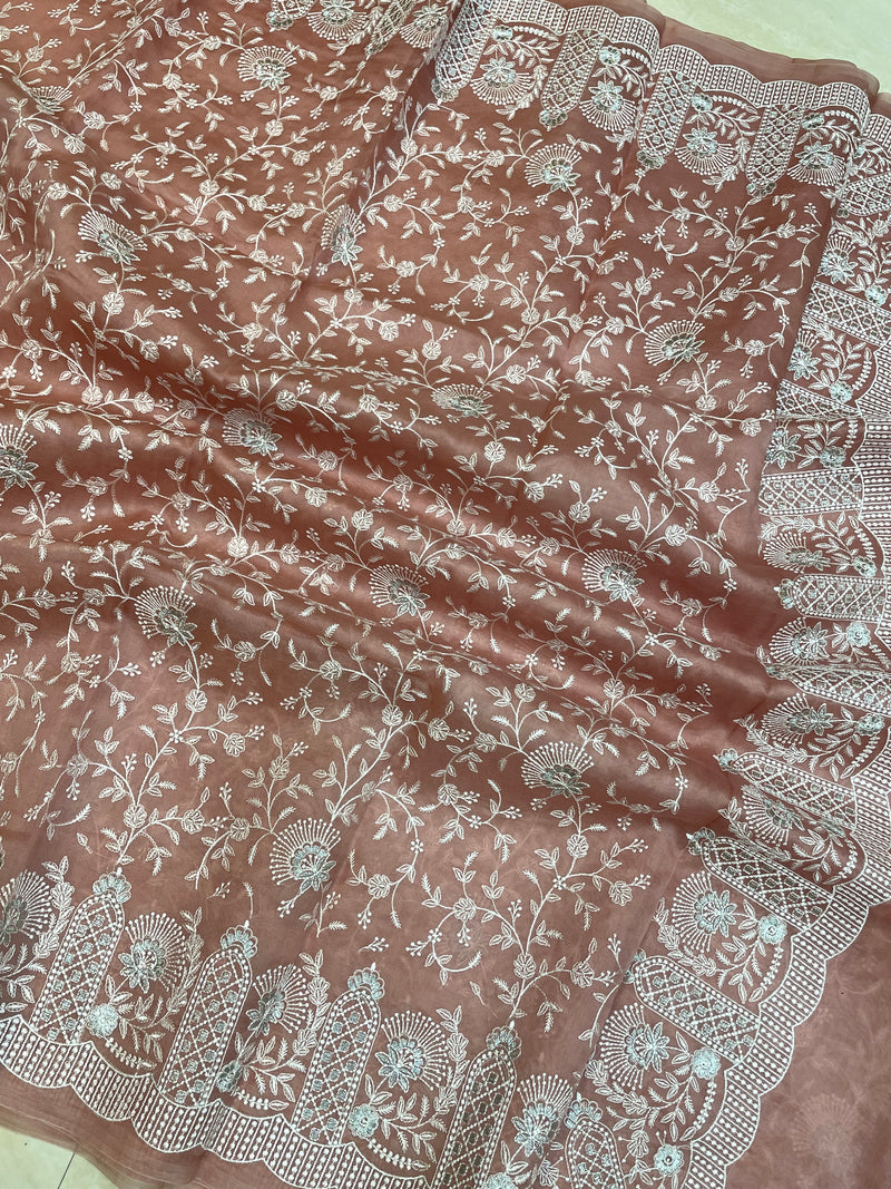 Pure Organza Chikankari Handloom Banarasi Saree - The Handlooms