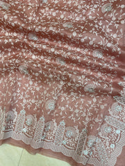 Pure Organza Chikankari Handloom Banarasi Saree - The Handlooms