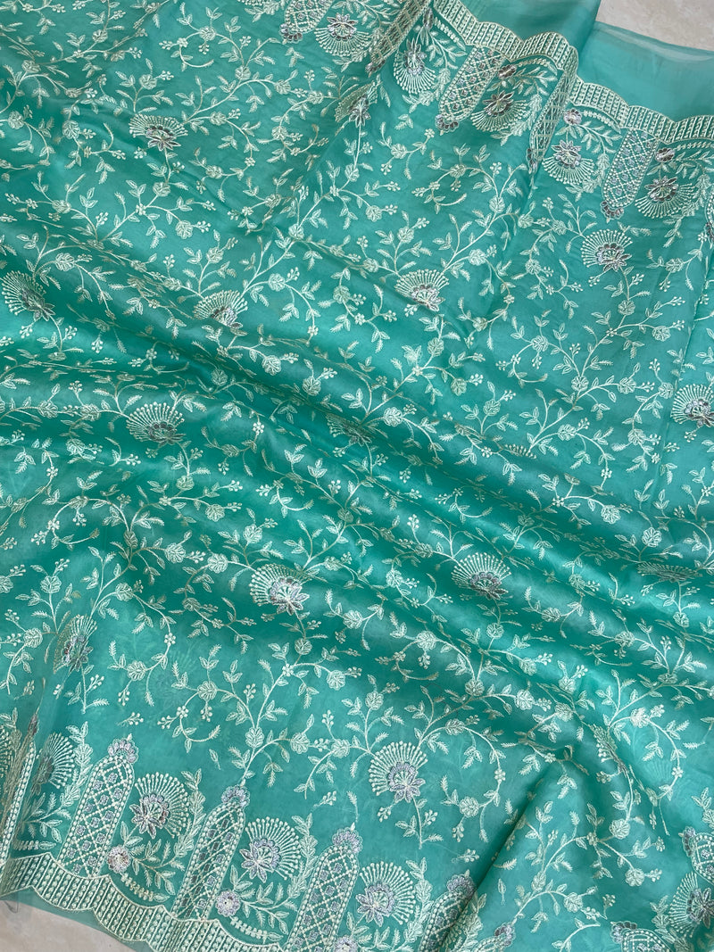 Pure Organza Chikankari Handloom Banarasi Saree - The Handlooms