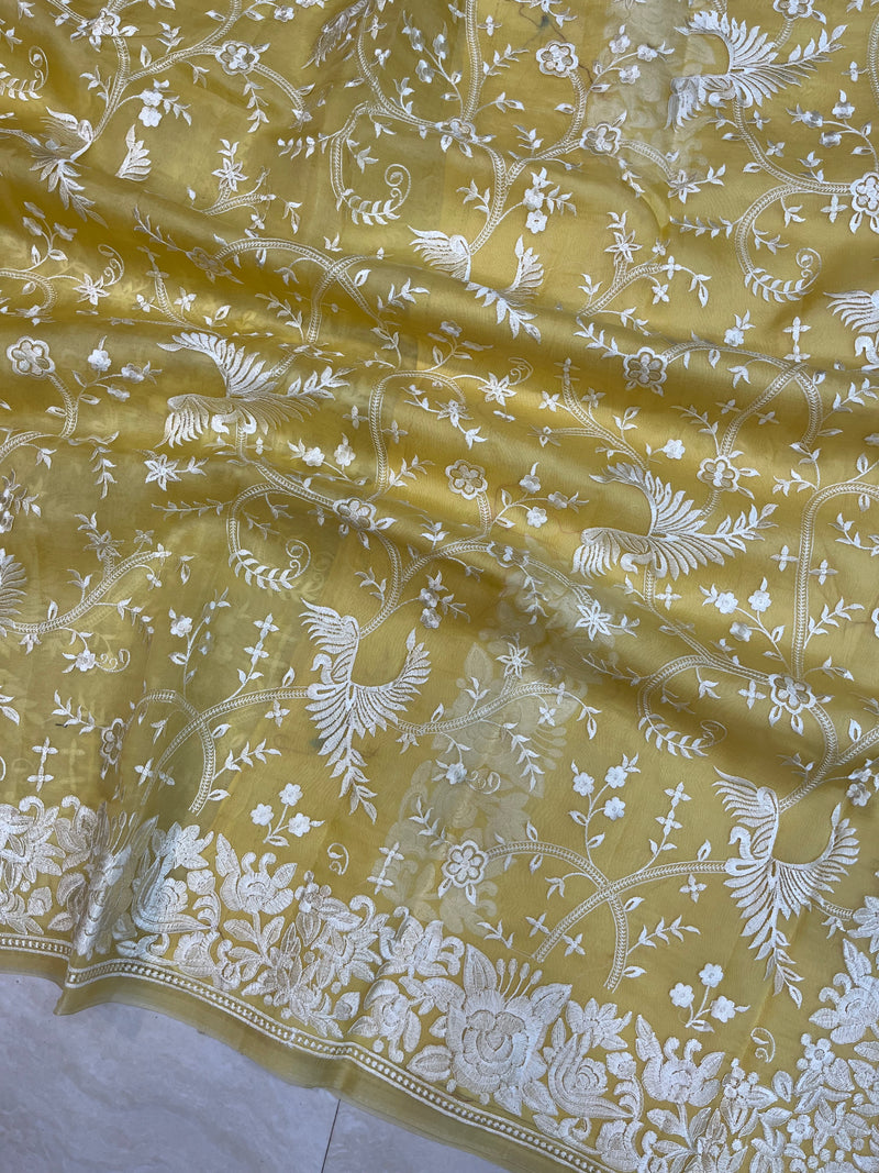 Pure organza Chikankari Handloom Banarasi Saree - The Handlooms