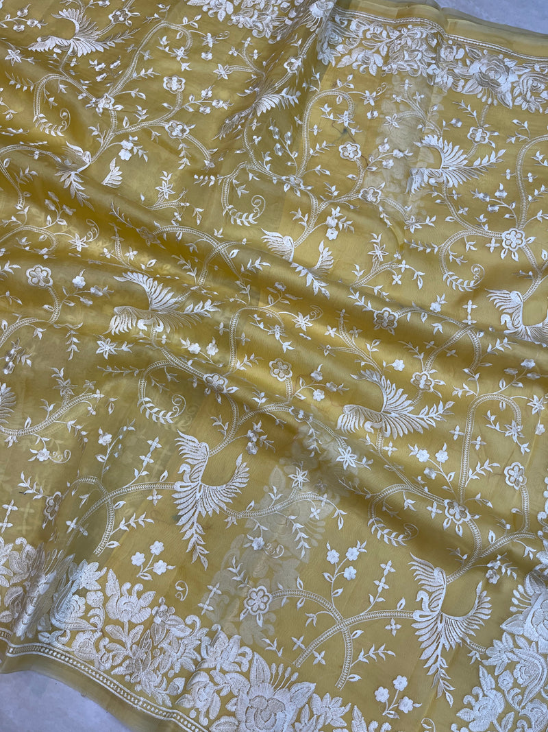 Pure organza Chikankari Handloom Banarasi Saree - The Handlooms
