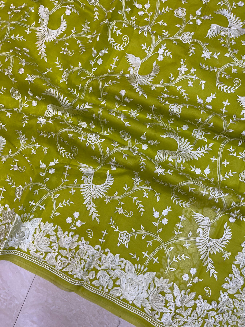 Pure organza Chikankari Handloom Banarasi Saree - The Handlooms