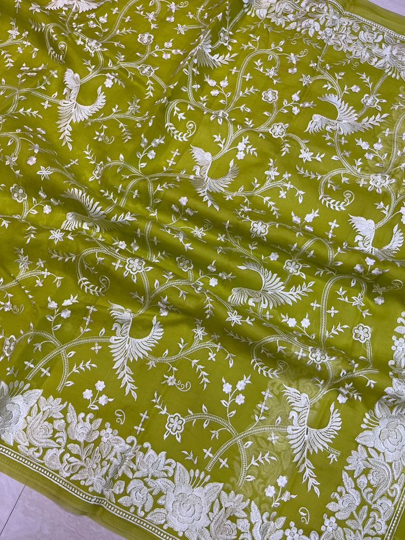 Pure organza Chikankari Handloom Banarasi Saree - The Handlooms