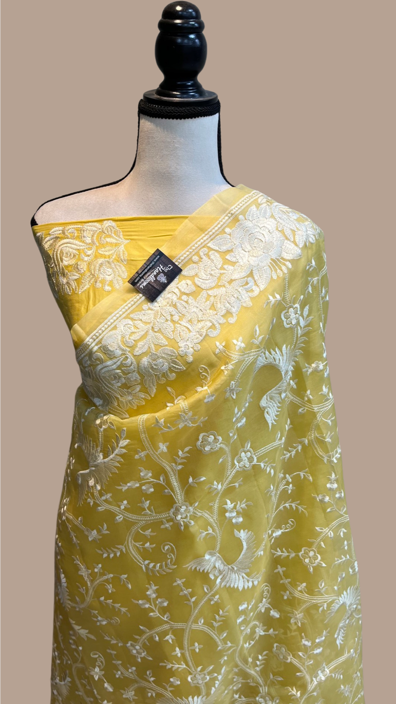 Pure organza Chikankari Handloom Banarasi Saree - The Handlooms