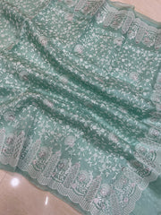 Pure Organza Chikankari Handloom Banarasi Saree - The Handlooms