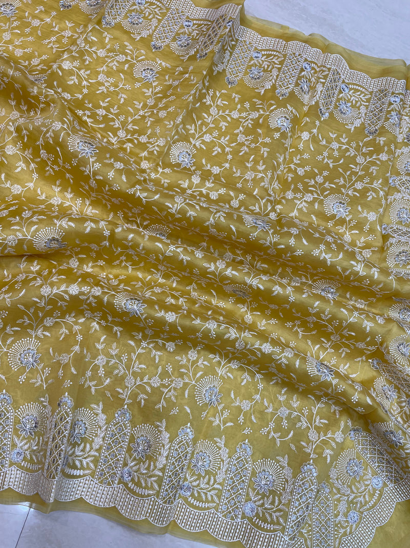 Pure Organza Chikankari Handloom Banarasi Saree - The Handlooms