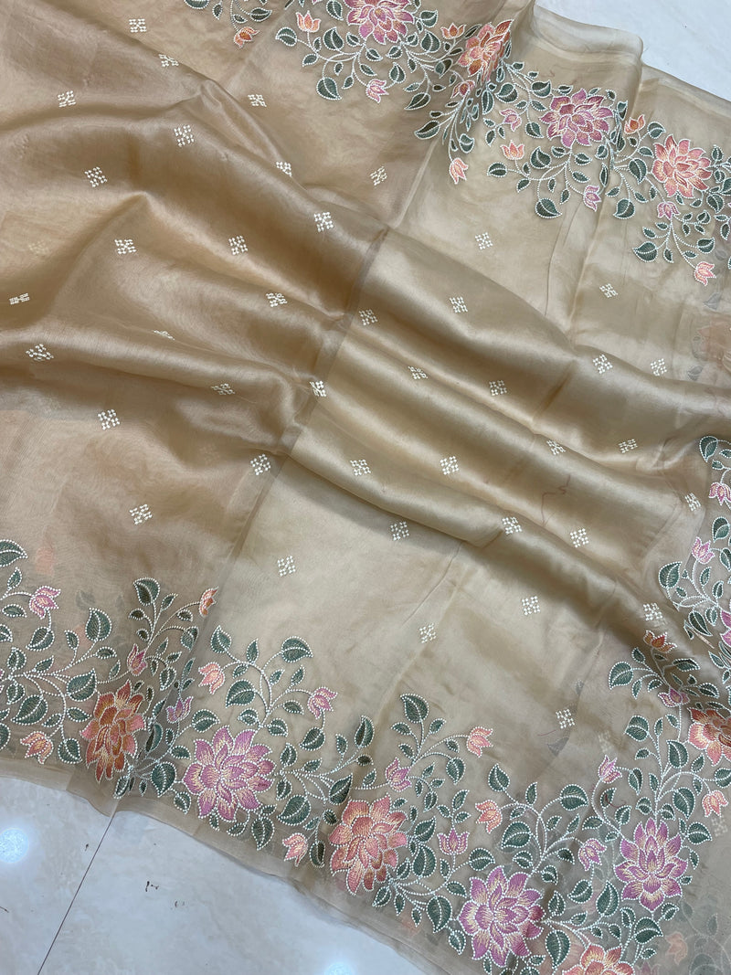 Pure organza Chikankari Handloom Banarasi Saree - The Handlooms