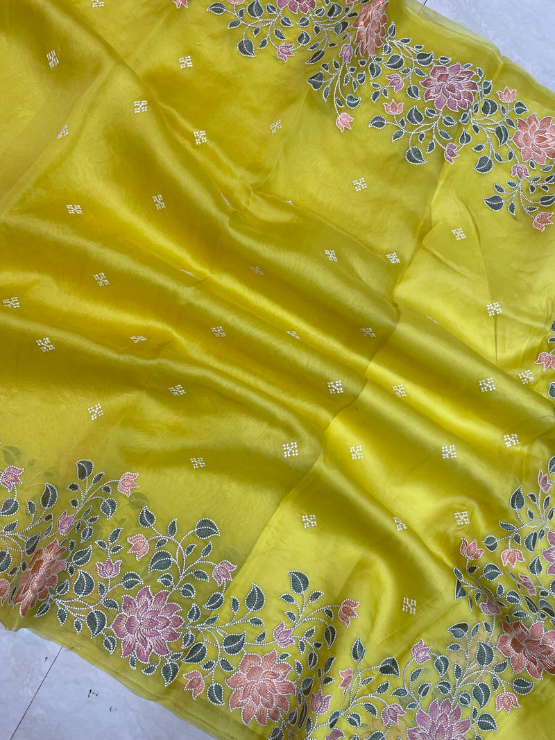 Pure organza Chikankari Handloom Banarasi Saree - The Handlooms