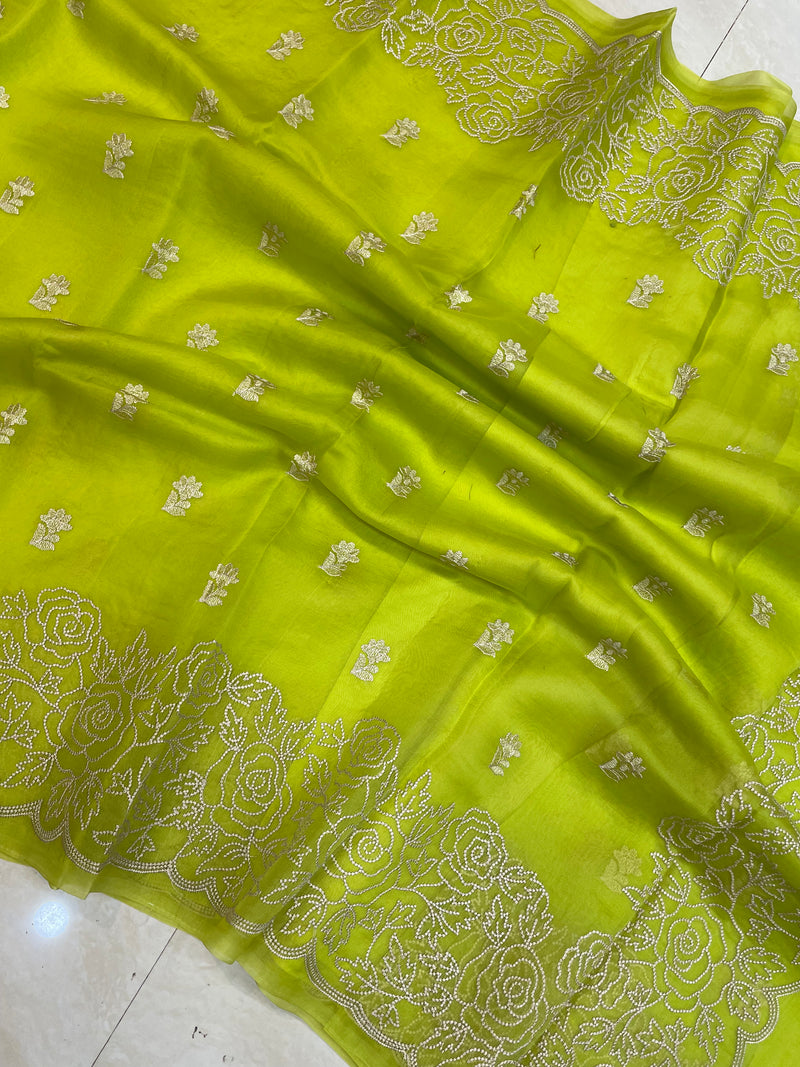 Pure organza Chikankari Handloom Banarasi Saree - The Handlooms