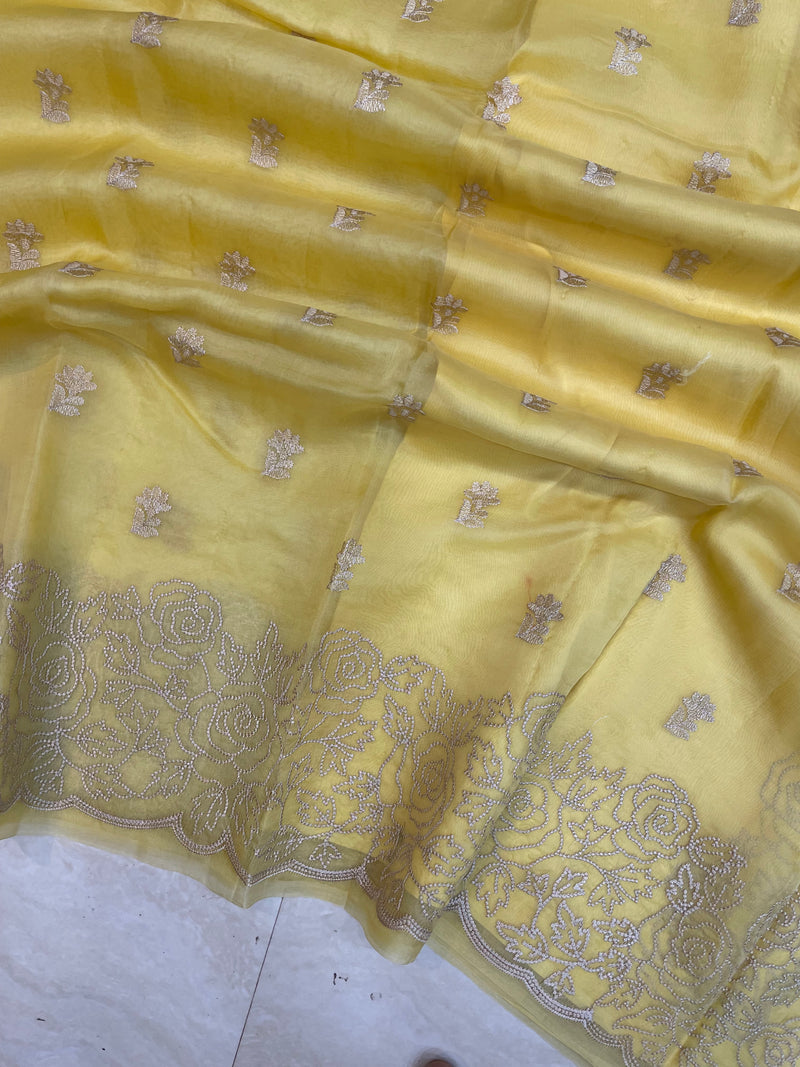 Pure organza Chikankari Handloom Banarasi Saree - The Handlooms