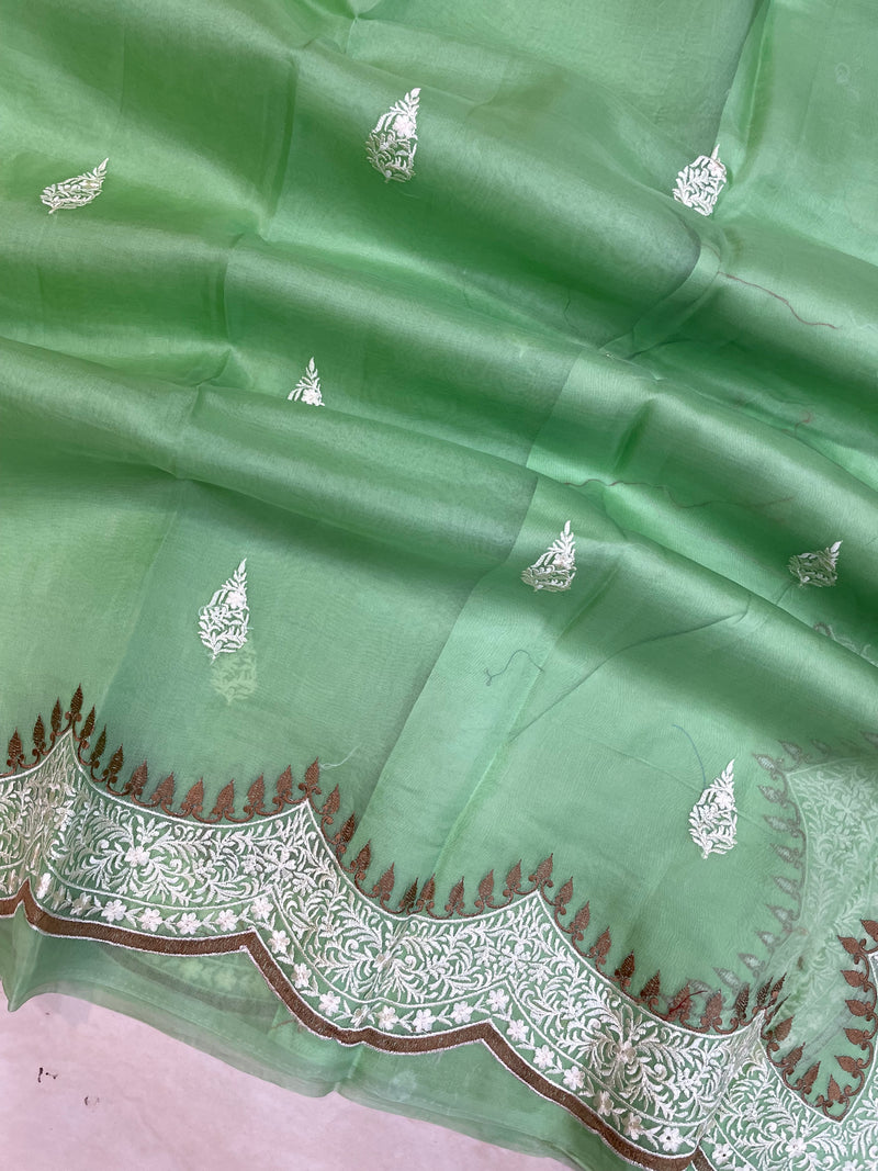 Pure organza Chikankari Handloom Banarasi Saree - The Handlooms