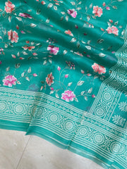 Pure Organza Chikankari Handloom Banarasi Saree - The Handlooms