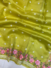Pure Organza Chikankari Handloom Banarasi Saree - The Handlooms