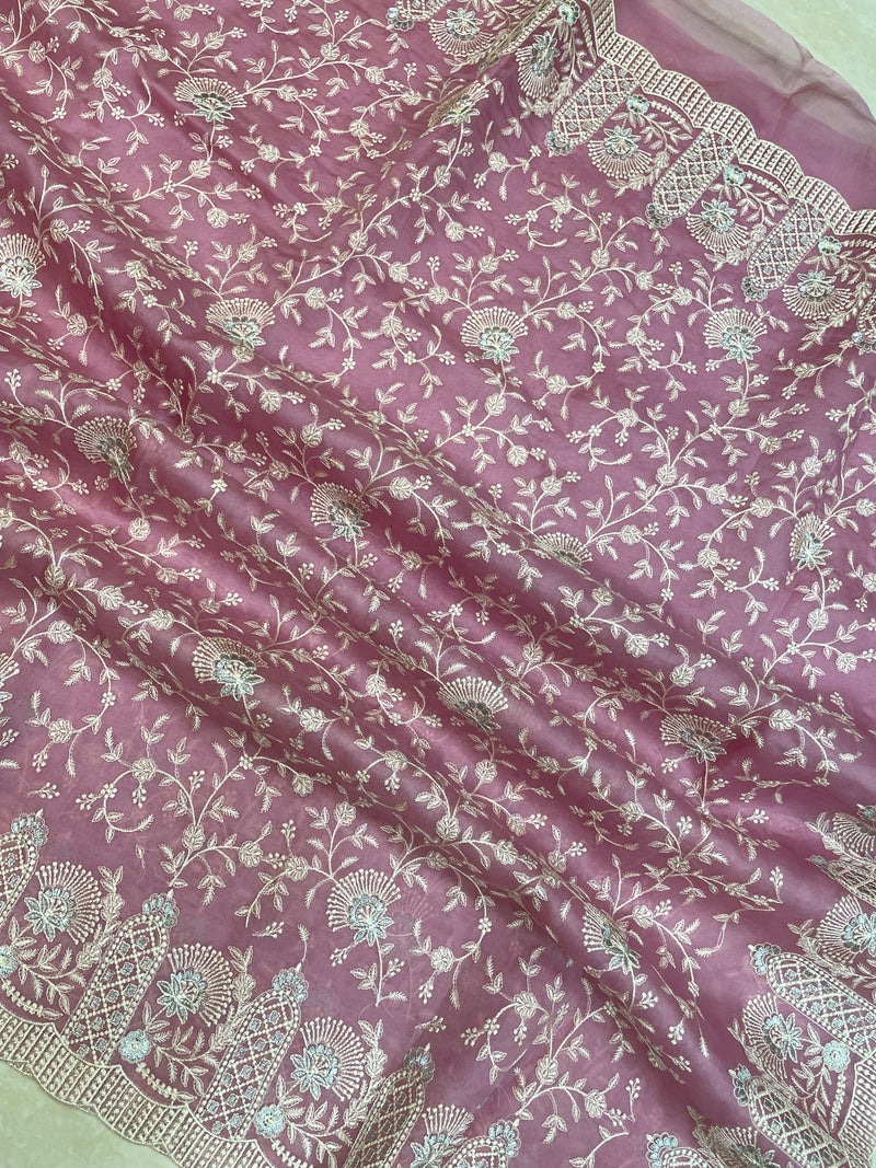 Pure organza Chikankari Handloom Banarasi Saree - The Handlooms