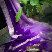 Pure Georgette Banarasi Saree - The Handlooms