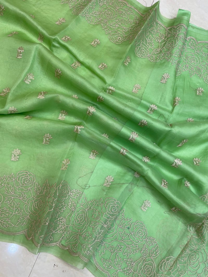 Pure organza Chikankari Handloom Banarasi Saree - The Handlooms