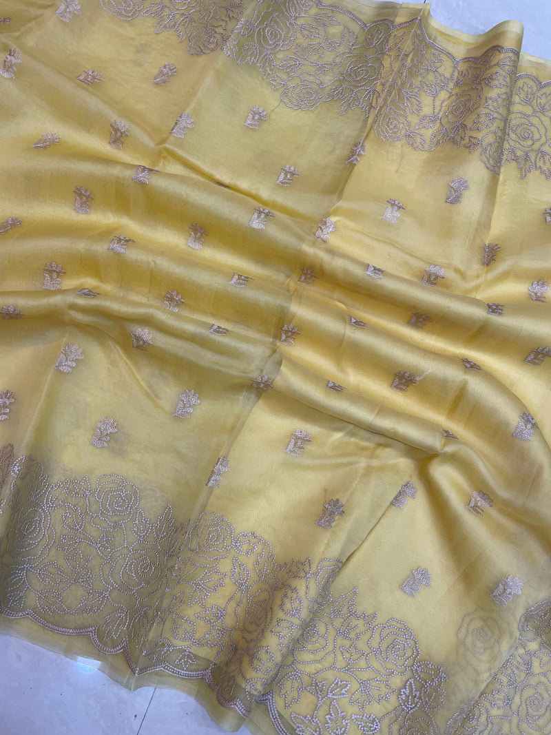 Pure organza Chikankari Handloom Banarasi Saree - The Handlooms